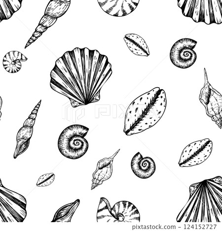 Seamless pattern with vector beautiful shells. Hand painted line seashell. Graphic clip art isolated on background. Underwater illustration. For designers, invitations, decoration, postcards, wrapping 124152727