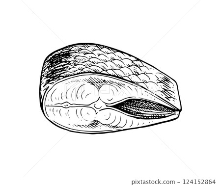 Vector black and white illustration. Hand drawn art on the theme of fish. With a white isolated silhouette on the background 124152864