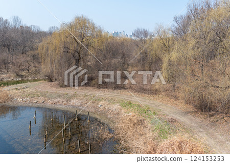 Seoul Forest large public park in Seongdong District in Seoul, capital of South Korea 124153253