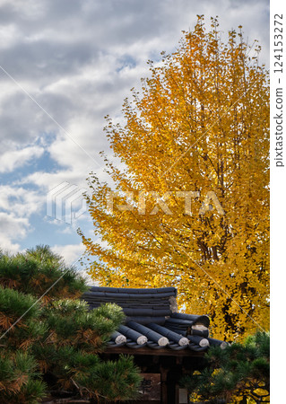 Bukchon Hanok village old traditional Korean architecture district and famous tourist destination in Seoul, South Korea Bukchon Hanok village old traditional Korean architecture district and famous tourist destination in Seoul, South Korea 124153272