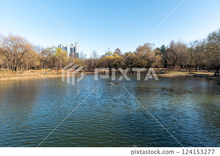 Seoul Forest large public park in Seongdong District in Seoul, capital of South Korea Seoul Forest large public park in Seongdong District in Seoul, capital of South Korea 124153277