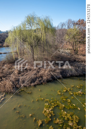 Seoul Forest large public park in Seongdong District in Seoul, capital of South Korea 124153278