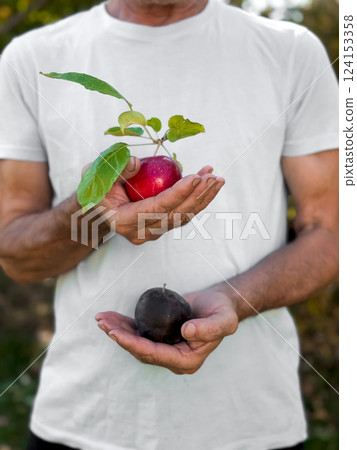 Adult caucasian male holding red apple with leaves and black apple outdoors 124153358