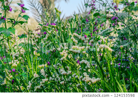 Colorful wildflower field in blurred effect, perfect for cinematic and calming design backdrops. 124153598