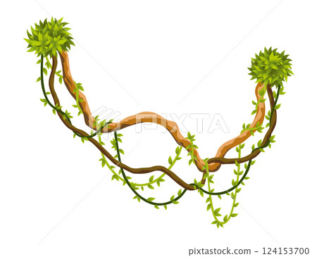 Liana branch. Twisted wild jungle vine plants. Woody natural tropical rainforest, exotic botany element. Vector design element Liana branch. Twisted wild jungle vine plants. Woody natural tropical rainforest, exotic botany element. Vector design element 124153700