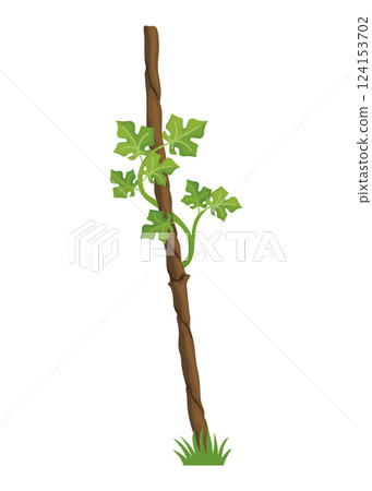 Growing Grapevine Bearing Plants and Vines Growing Grapevine Bearing Plants and Vines 124153702