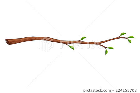 Tree branch. Leafy plants twig, fresh greenery. Deciduous bush sprout on white background. Vector isolated botanical decoration element 124153708