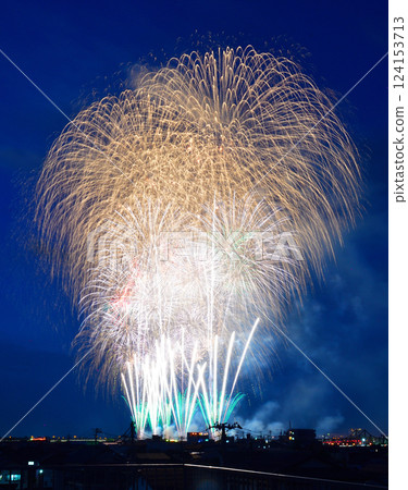 Nagaoka Festival Fireworks Display (Niigata Prefecture) Nagaoka Festival Fireworks Display (Niigata Prefecture) 124153713