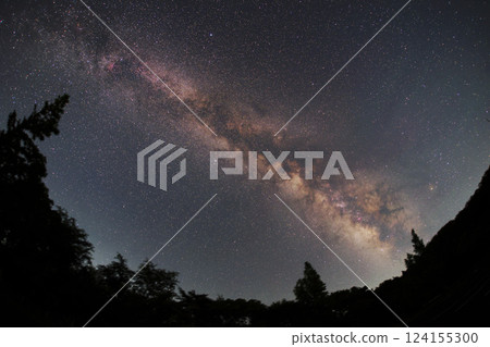The summer Milky Way seen through the trees (Izumo City) The summer Milky Way seen through the trees (Izumo City) 124155300