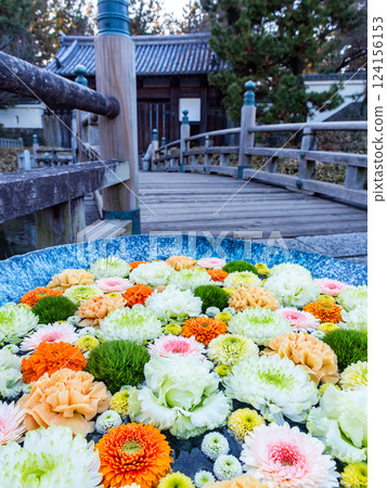 美麗的花噴泉和木橋裝飾著一月份的當季鮮花 美麗的花噴泉和木橋裝飾著一月份的當季鮮花 124156153