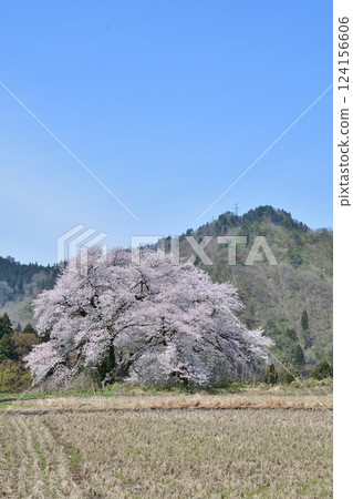 Kuroiwa的情侶(新潟) Kuroiwa的情侶(新潟) 124156606