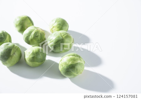 球芽甘藍 124157081