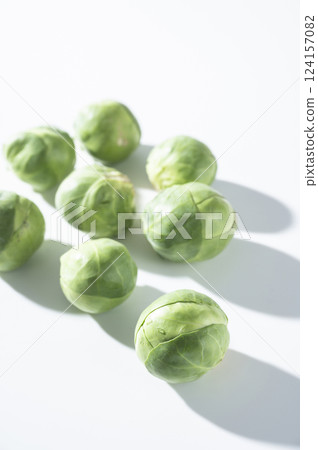 球芽甘藍 球芽甘藍 124157082