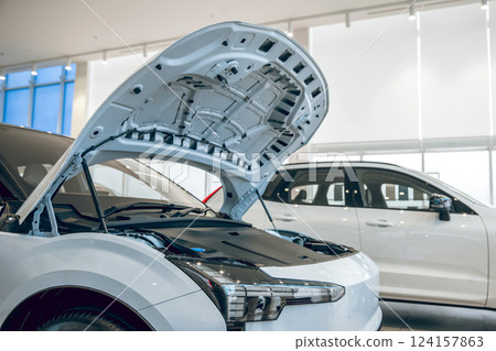 Car service center workshop with new car with open hood Car service center workshop with new car with open hood 124157863