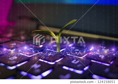 Computer keyboard with a small green plant sprouting. Technologies, ecosystem, concept development 124158051