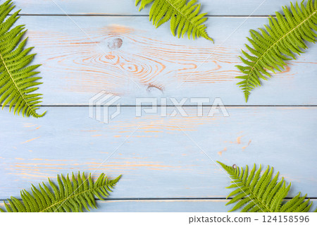 Green leaves fern on a blue wooden background. Creative layout made of leaves with place for your text . Flat lay. Nature concept 124158596