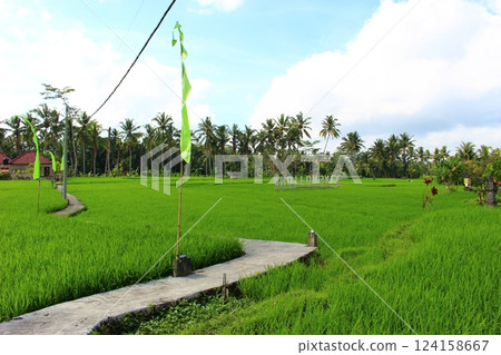 Ubud, Bali, Indonesia 124158667
