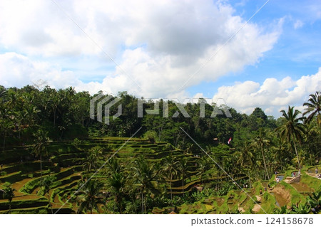 印尼 峇裡島 烏布 德格拉朗 124158678