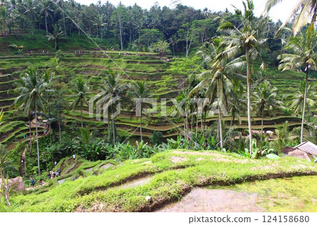 印尼 峇裡島 烏布 德格拉朗 124158680