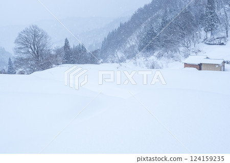 Snow-covered rice terraces of Mt. Hyonose, Tottori Prefecture 124159235