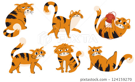 2389_cat_poses 124159270