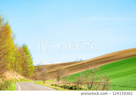 初夏的北海道美瑛清爽景色 初夏的北海道美瑛清爽景色 124159362