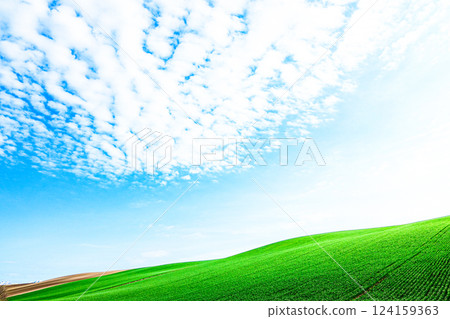 初夏的北海道美瑛，樸實的風景，清新的氣息 124159363