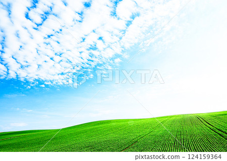 A simple landscape with a refreshing atmosphere in Biei, Hokkaido in early summer 124159364