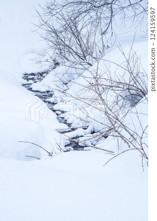 Snow-covered rice terraces of Mt. Hyonose, Tottori Prefecture 124159597