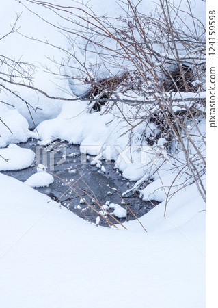 Snow-covered rice terraces of Mt. Hyonose, Tottori Prefecture 124159598