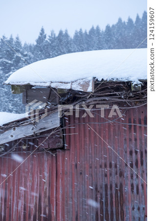 Snow-covered rice terraces of Mt. Hyonose, Tottori Prefecture 124159607