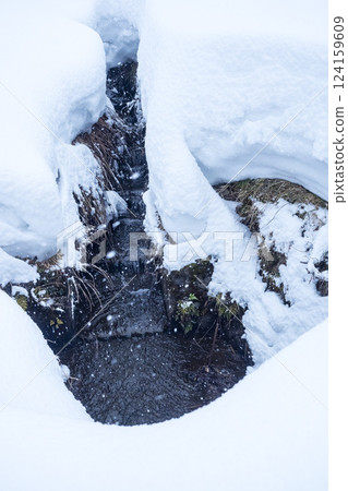 Snow-covered rice terraces of Mt. Hyonose, Tottori Prefecture 124159609