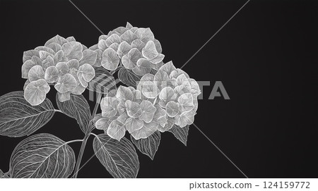 Monochrome flower Monochrome flower 124159772