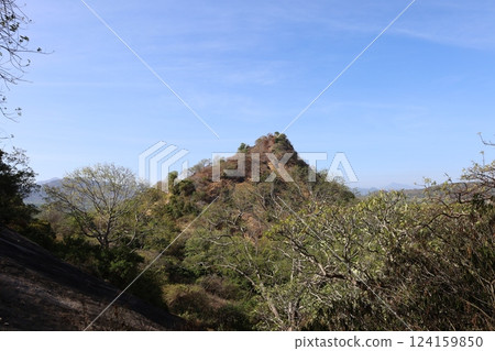 View from Rangiri Dambulla Cave Temple [Sri Lanka] 124159850