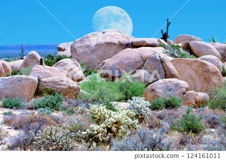 Sonora Desert Arizona Moonrise Sonora Desert Arizona Moonrise 124161011