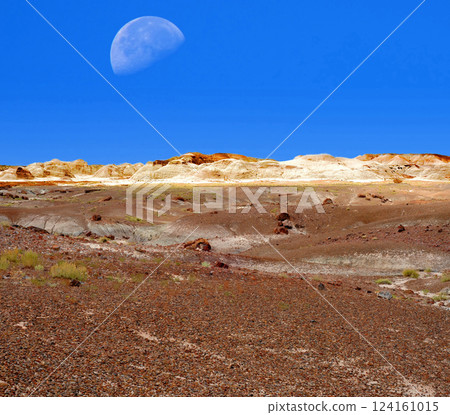 Moonrise Rugged and Desolate Landscape Petrified Forest Arizona Moonrise Rugged and Desolate Landscape Petrified Forest Arizona 124161015