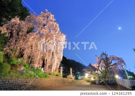 Night cherry blossoms at Baiganji Temple in Ome City Night cherry blossoms at Baiganji Temple in Ome City 124161295