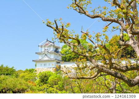 日本100大城堡·明石城堡 124161309