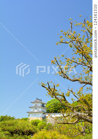 Japan 100 Great castle · Akashi castle 124161310