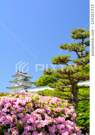 Japan 100 Great castle · Akashi castle 124161313
