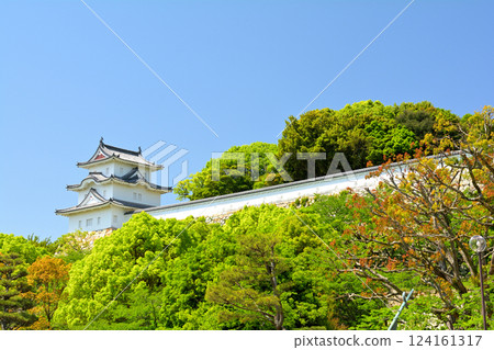 日本100大城堡·明石城堡 124161317