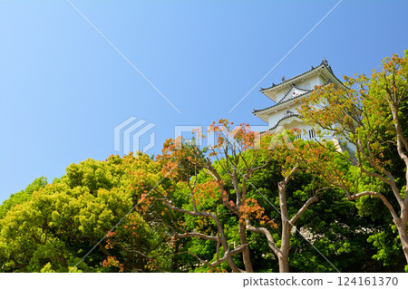 日本100大城堡·明石城堡 日本100大城堡·明石城堡 124161370