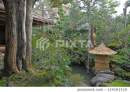 A Japanese-style garden surrounded by greenery A Japanese-style garden surrounded by greenery 124161519