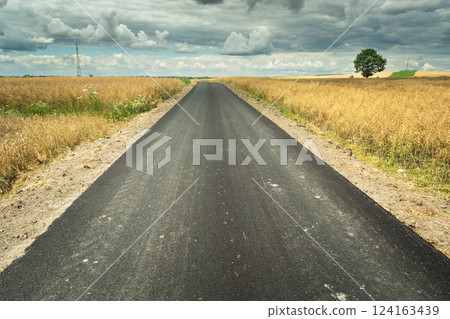 New asphalt road in the fields of grain and cloudy sky New asphalt road in the fields of grain and cloudy sky 124163439