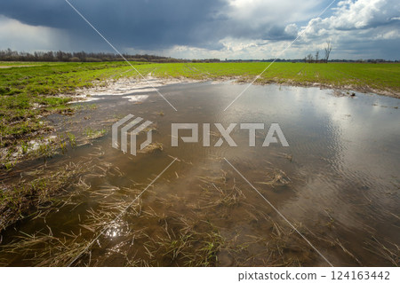 Water on the green field and rain in the sky Water on the green field and rain in the sky 124163442