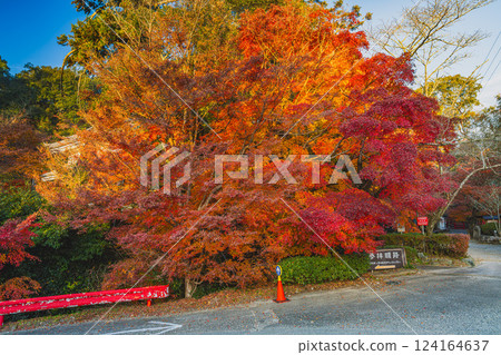 Morning scenery of Yusanji Temple in Fukuroi city, Shizuoka prefecture, with autumn leaves 124164637
