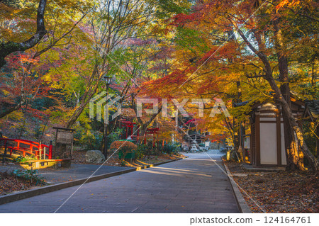 Scenery of the approach to Yusanji Temple in Fukuroi City, Shizuoka Prefecture, surrounded by autumn leaves in the morning 124164761