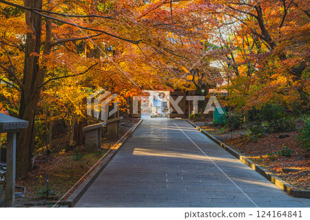 清晨，從袋井市（靜岡縣）的參道望去，湯山寺的山門被紅葉環繞。 124164841