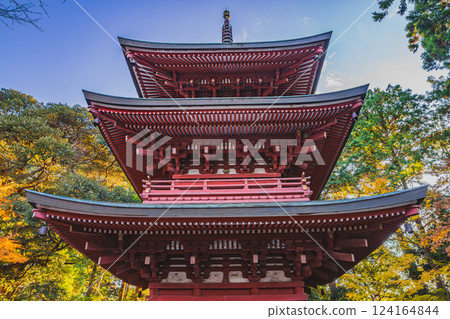 Scenery of the three-story pagoda of Yusanji Temple surrounded by autumn leaves in the morning in Fukuroi City (Shizuoka Prefecture) Scenery of the three-story pagoda of Yusanji Temple surrounded by autumn leaves in the morning in Fukuroi City (Shizuoka Prefecture) 124164844