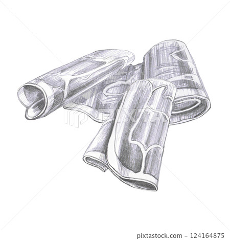 Composition of meat rolls. Isolated pencil illustration of snack in realistic style for restaurant menu design, beer festival, packaging, bar interior 124164875